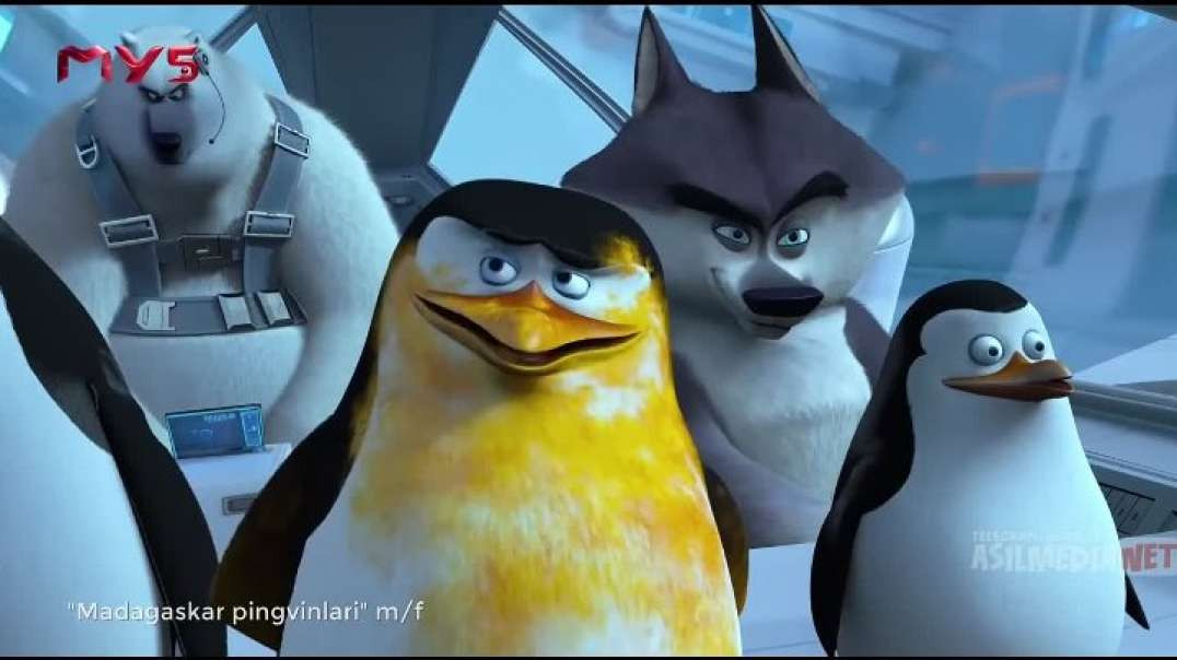 ⁣Madagaskar Pingvinlari - Barcha qismlar (Tarjima Multfilm HD) Uzbek Tilida | Мадагаскар Пингивинлар