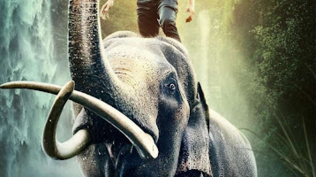 Jungili / Жунгли Hind Kino Uzbek Tilida