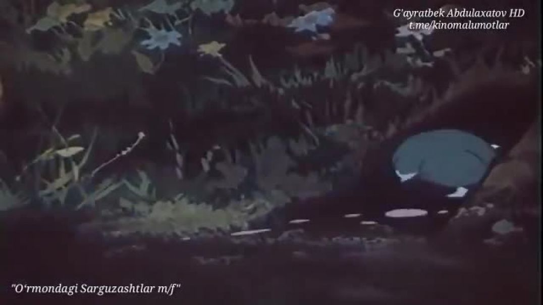 O'RMONDAGI SARGUZASHTLAR (MULTFILM) UZBEK TILIDA