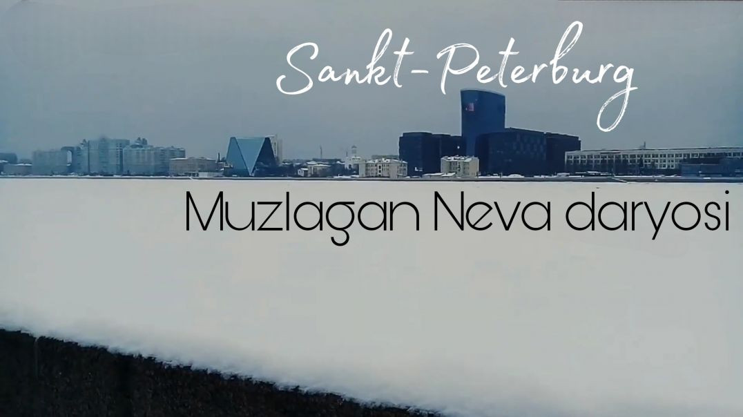 Muzlagan daryo boʻyida  #spb #neva #vlog #muzlagan