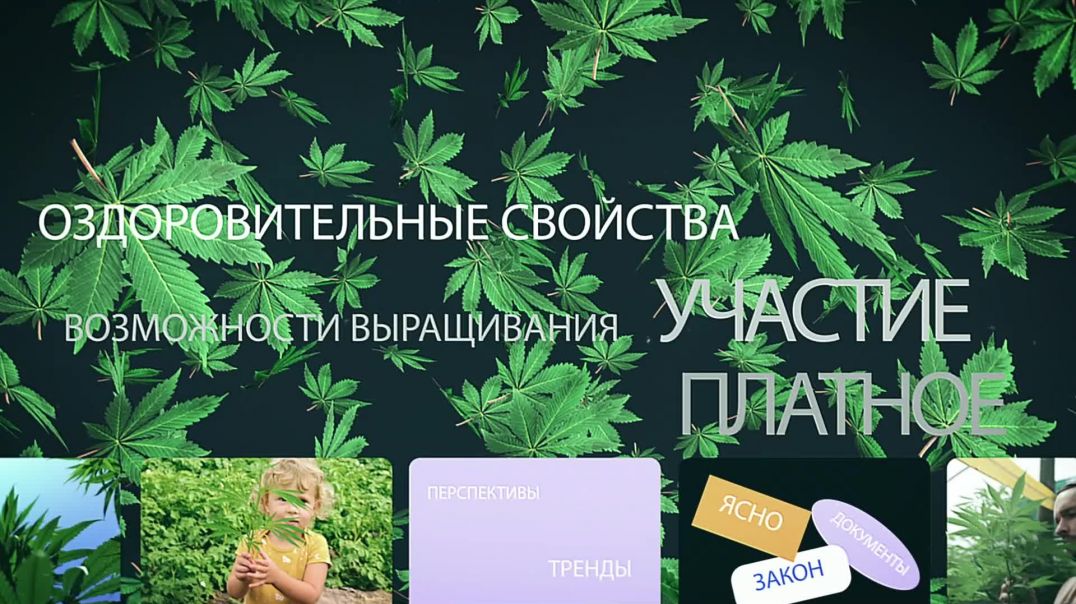 ⁣Костробетон купить, как выбрать качественные материалы для конопляного дома.