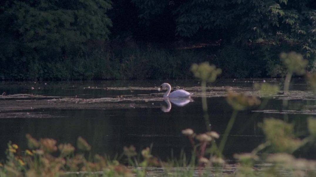 ⁣Озеро живых мертвецов _ Le lac des morts vivants (1981) Сергей Визгунов