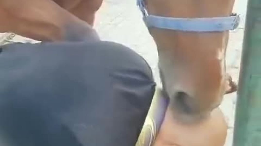 Sizdan u gina bizdan bugina