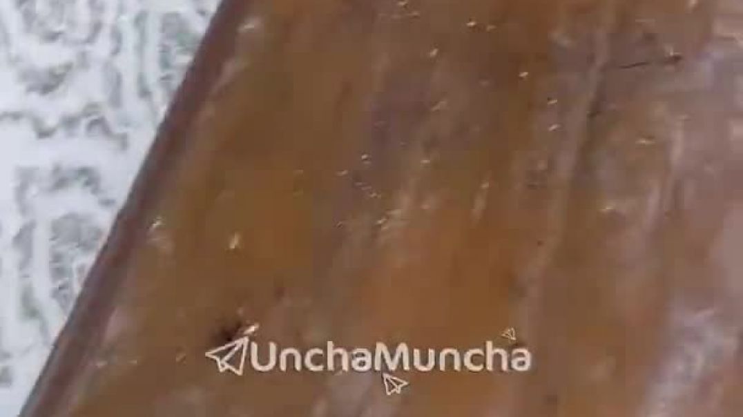 Pol