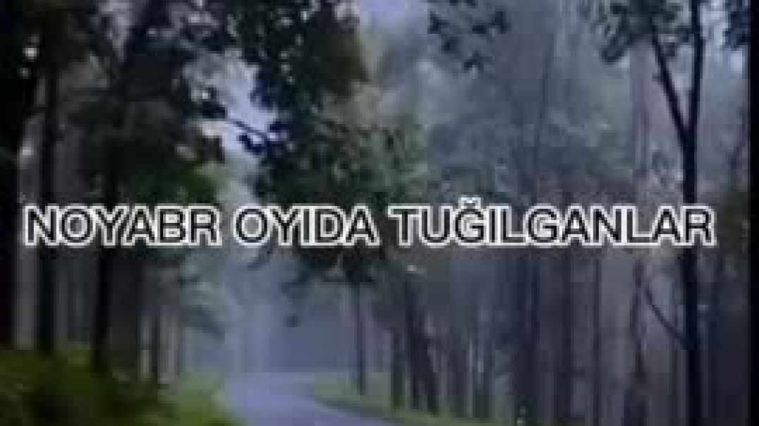 Noyabr