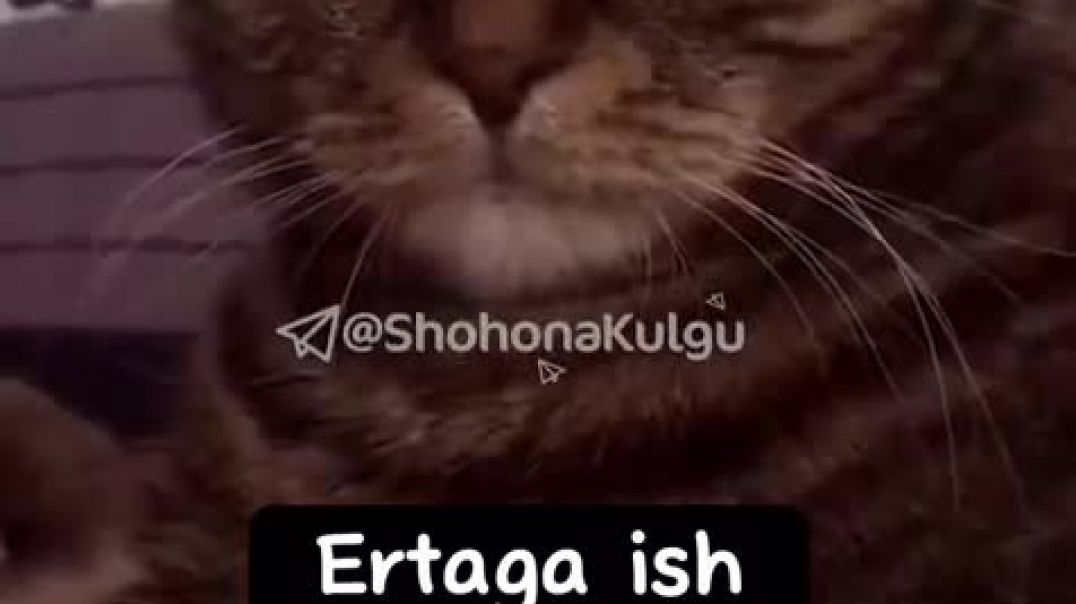 ⁣Yana kimda shunaqa xolat