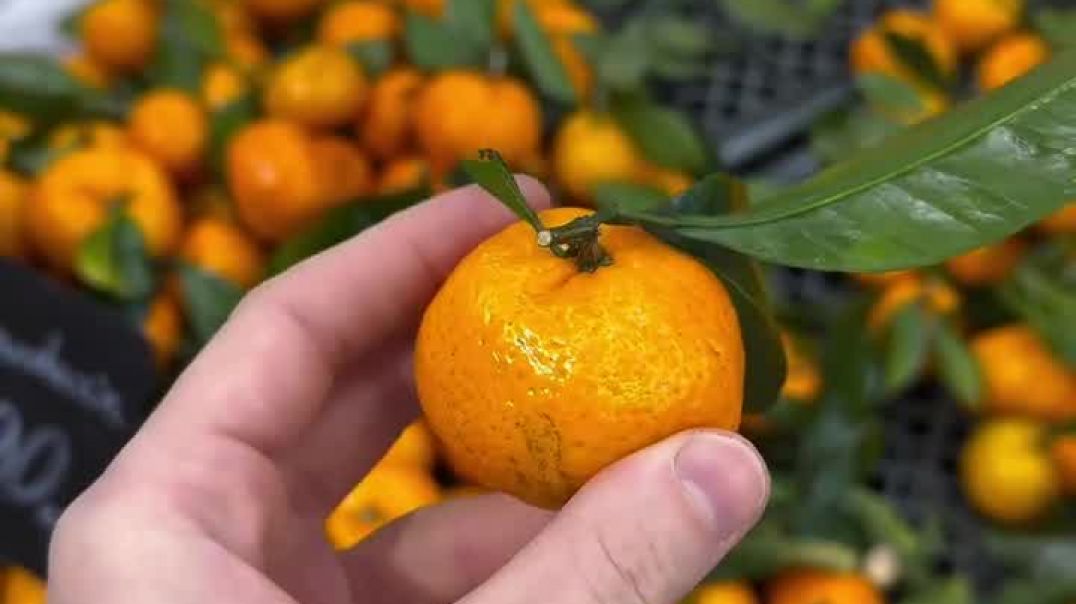 ⁣Mandarin