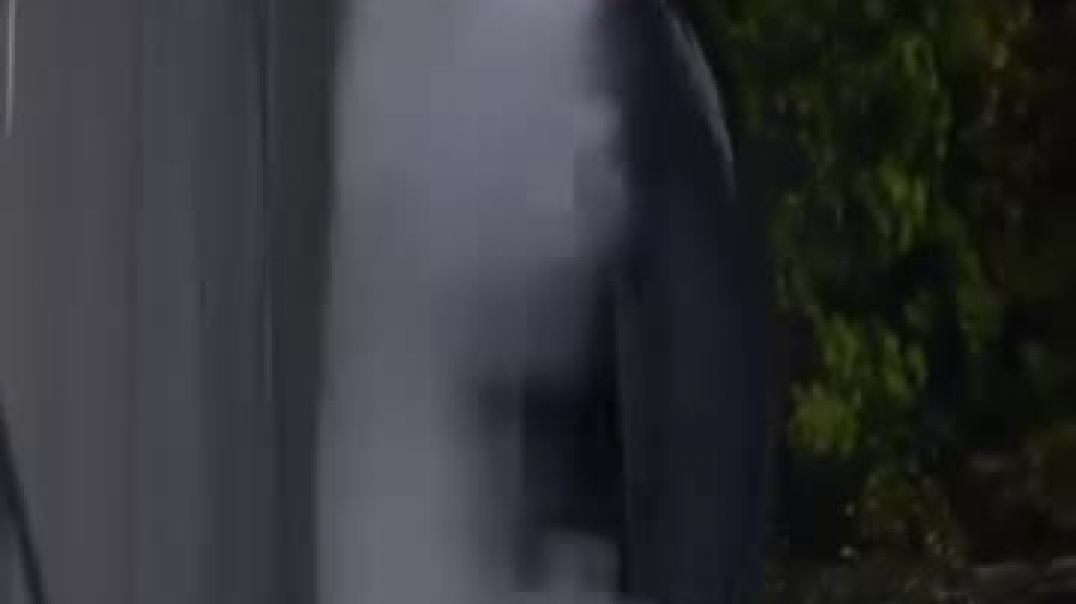 -8687691158444539991