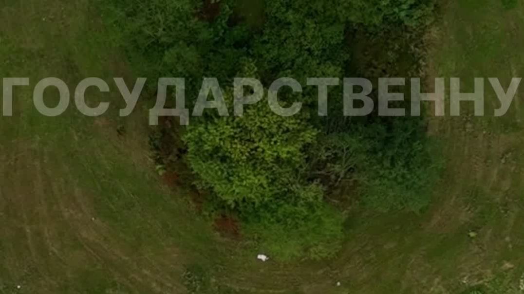 ⁣Автоматический электронный путевой лист с QR-кодом для контроля транспорта