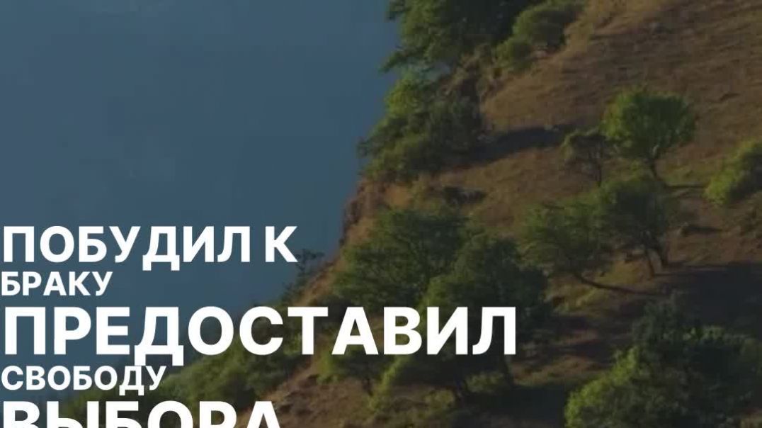 ⁣Семья в исламе — кирпич общества и основа веры