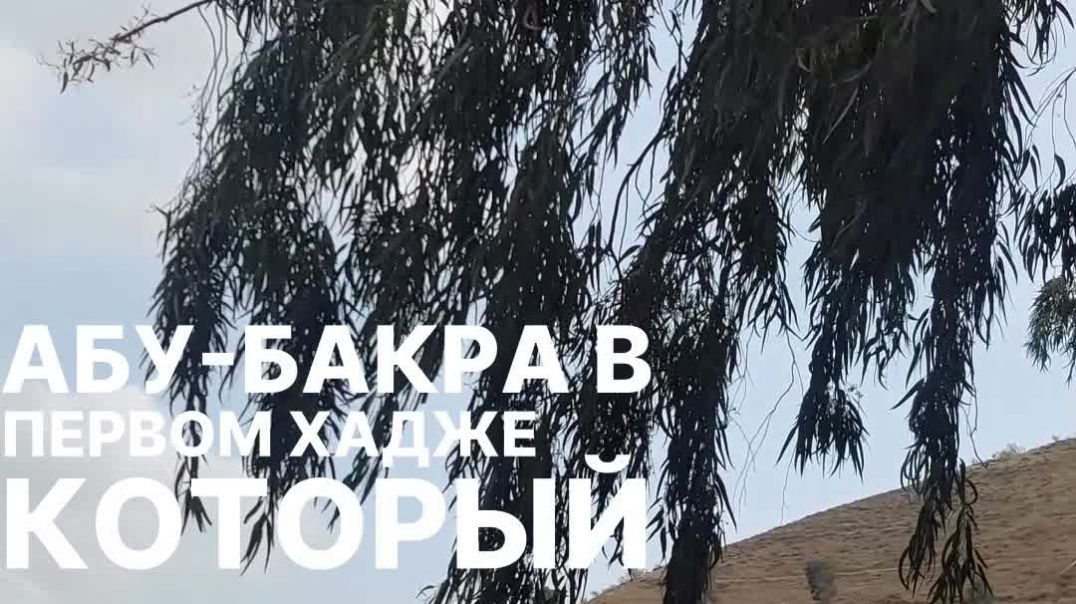 Как Абу-Бакр возглавил первый хадж из Медины