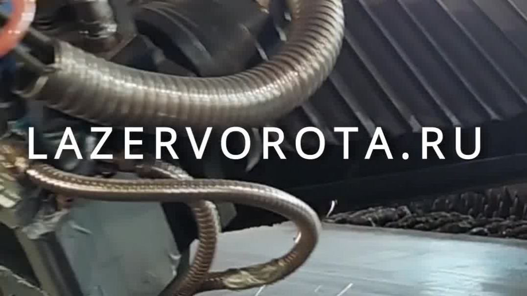 ⁣Волоконные лазеры, скорость, мощность и высочайшее качество реза