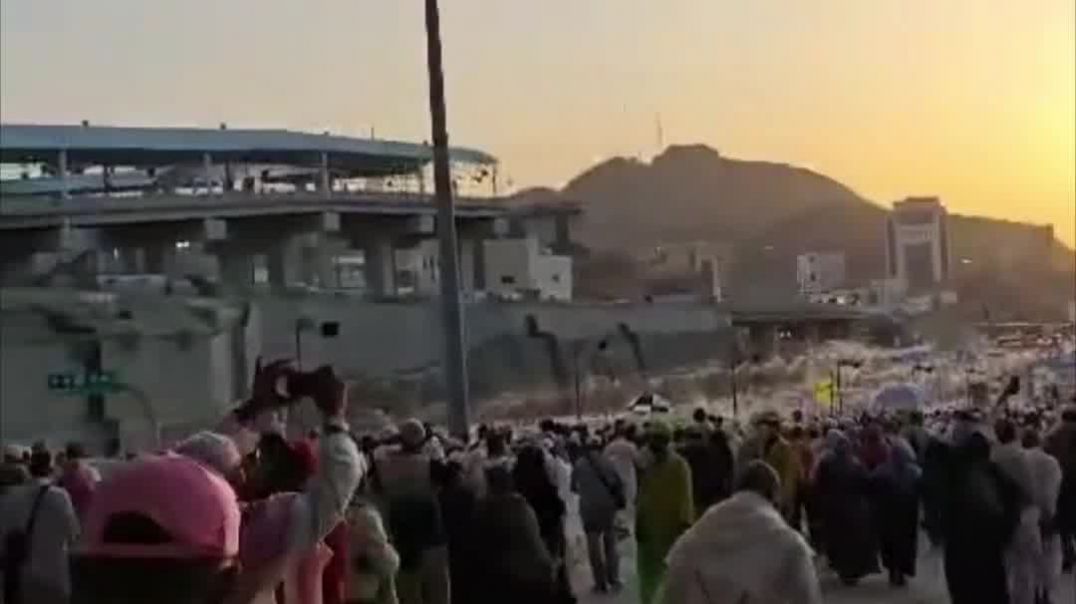 ⁣Лучшее время для поездки в Саудовскую Аравию, когда ехать?