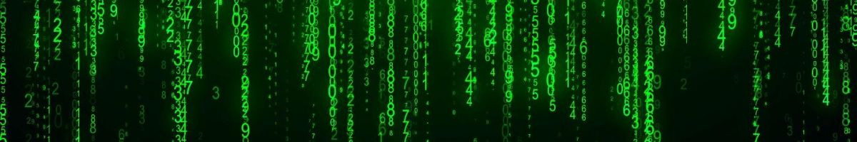 slonenok_hacker