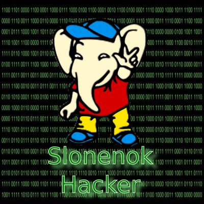 slonenok_hacker