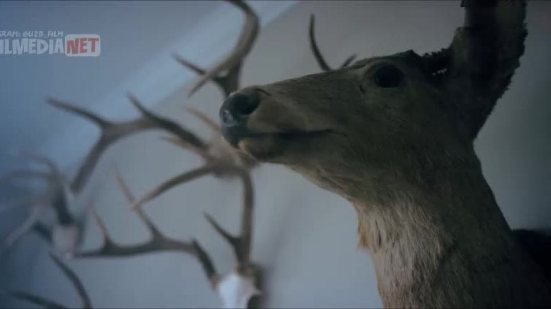 ⁣ITNING KO'ZLARI BILAN / ITNING NIGOHI BILAN / YAXSHI BOLA / YAXSHI KUCHUK