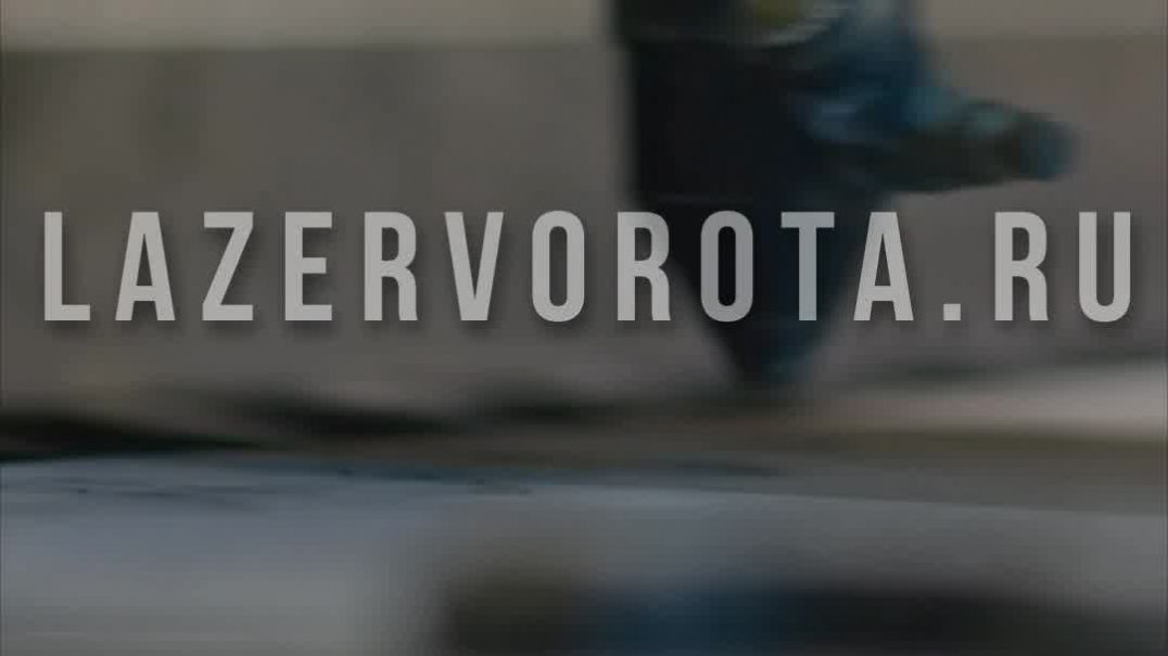 ⁣24 вольта или 230, в чем разница для автоматики ворот