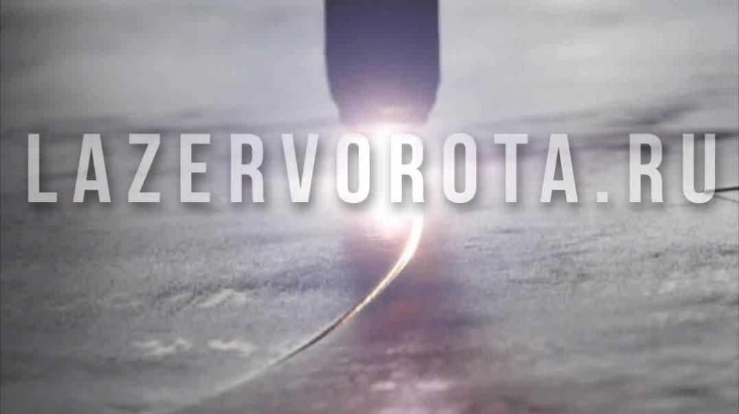 Что лучше для зимы, механические или магнитные концевики в воротах