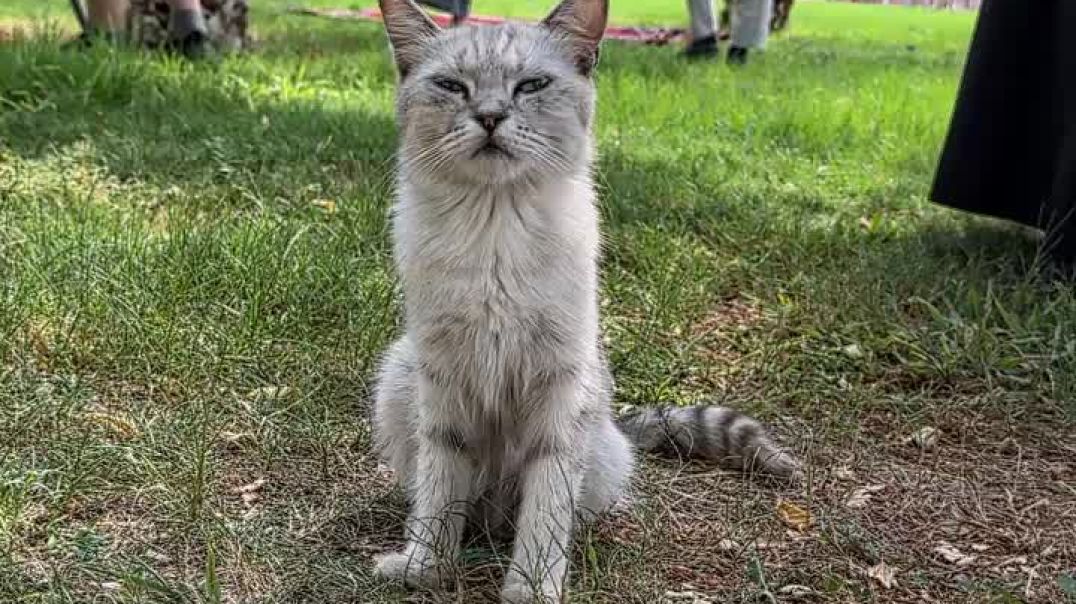 Слёзы у стен Каабы — это слова, которые сердце не смогло произнести вслух