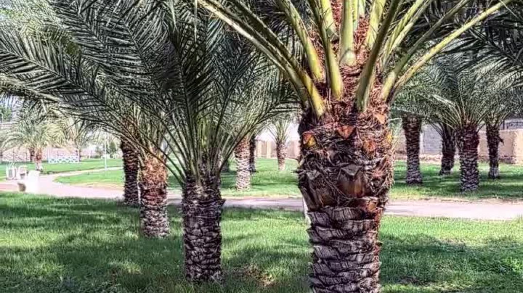 ⁣Самое главное — привезти Хадж в своем сердце домой и не растерять его в суете будней