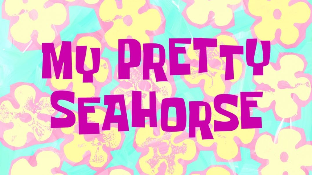 My Pretty Seahorse