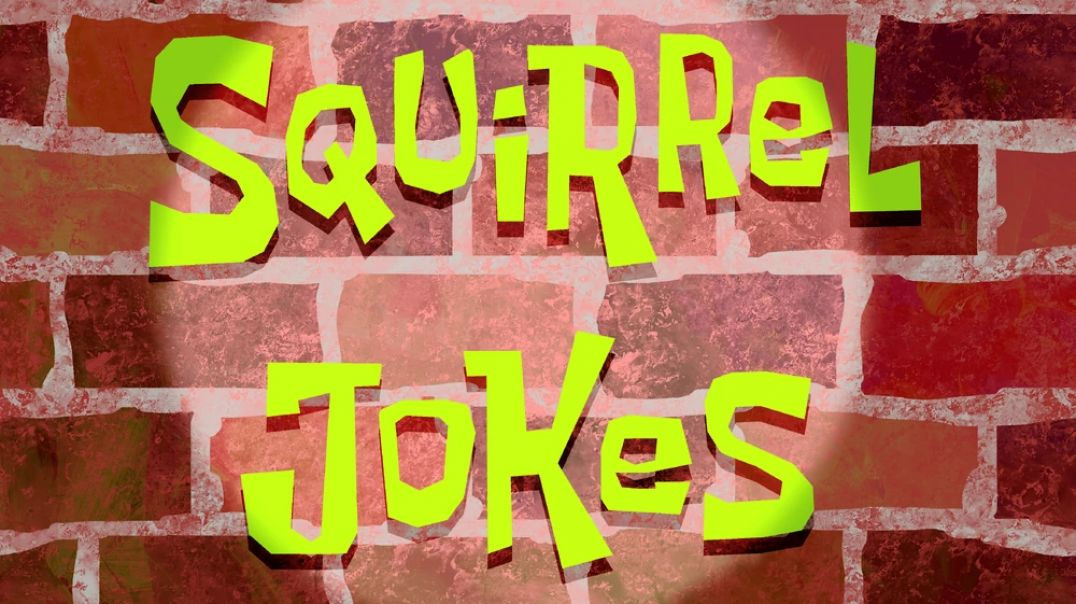 Squirrel Jokes