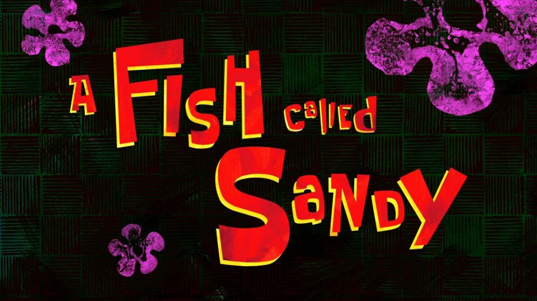 ⁣A Fish Called Sandy