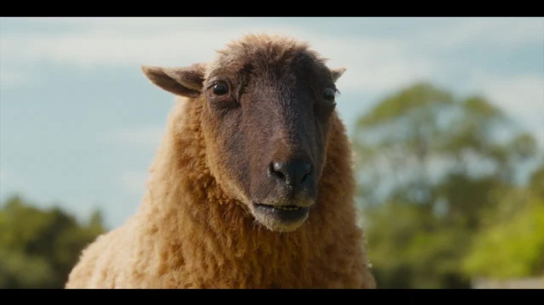 ⁣DETEKTIV QO'ZICHOQLAR / TERGOVCHI QO'ZICHOQLAR (KINO 2026) UZBEK TILIDA