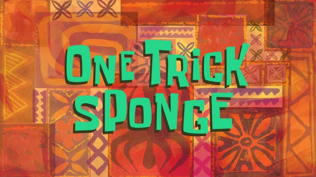 ⁣One Trick Sponge