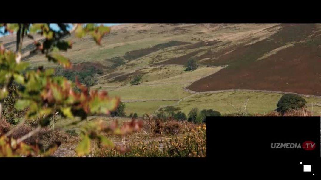 ⁣YIGITMA SAKKIZ YIL: SUYAKLAR IBODATXONASI - UZBEK TILIDA UJAS KINO 2026