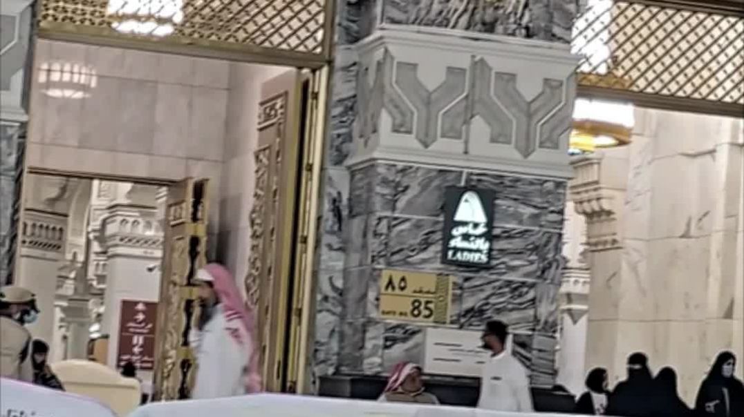 Как пророк проводил день Арафата. Как Пророк ﷺ провел самый важный день в году?