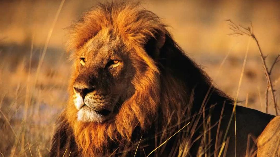 Томас. Гражданская война в Испании (белорусский) 2.mp3