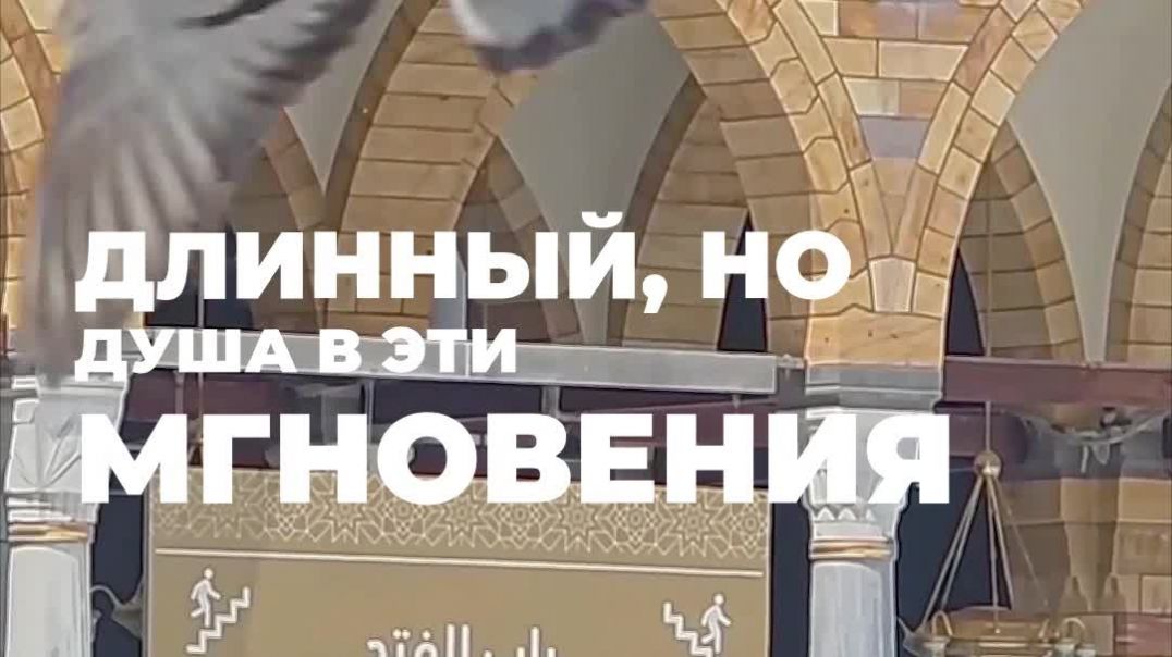 Когда усталость в хадже становится сладостью. ⁣Пакетные туры на хадж