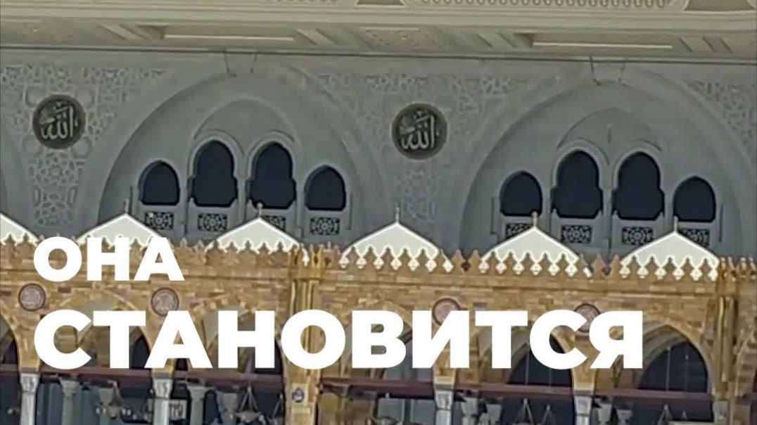 Что делает хадж по-настоящему живым