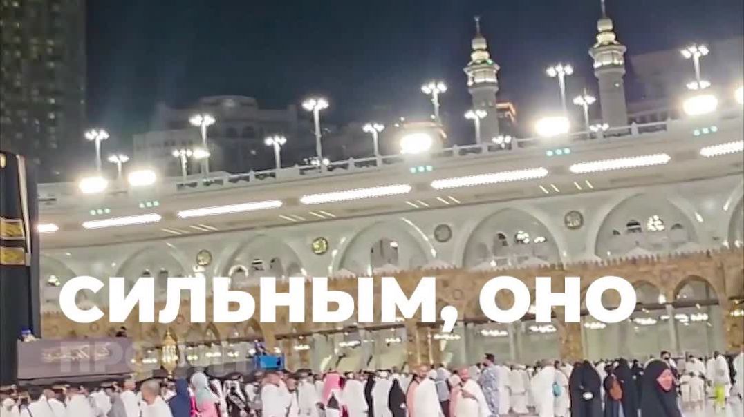 ⁣Почему Арафат - это момент правды о себе.  ⁣Хадж индивидуальный тур