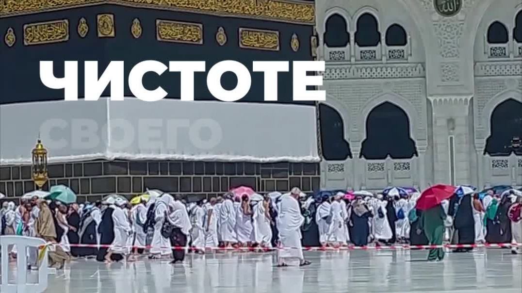 Как совершить хадж искренне?  Важное напоминание. ⁣Лучший оператор по хаджу