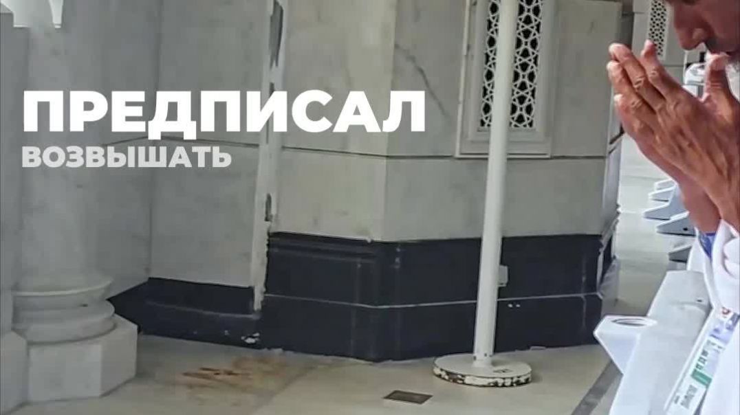 Секрет тальбии, как почувствовать смирение.