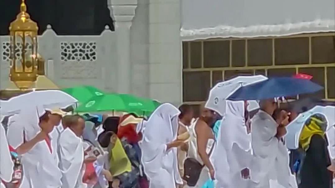 Ты избран! Почему важно благодарить Аллаха