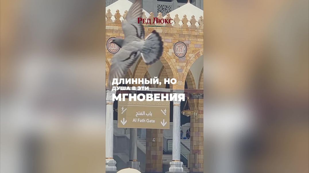Когда усталость в хадже становится сладостью